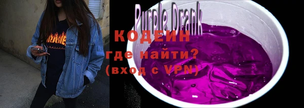 СК Кукмор