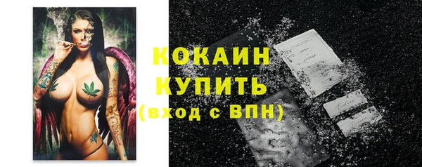 СК Кукмор