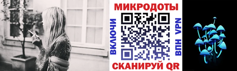 Купить  Оса  Галлюциногенные грибы Psilocybe 