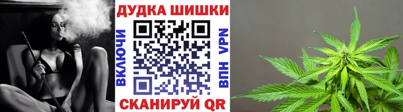 Бошки Шишки конопля  Купить  Оса 